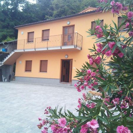 Apartmaji Matazin Črni Kal Exterior foto